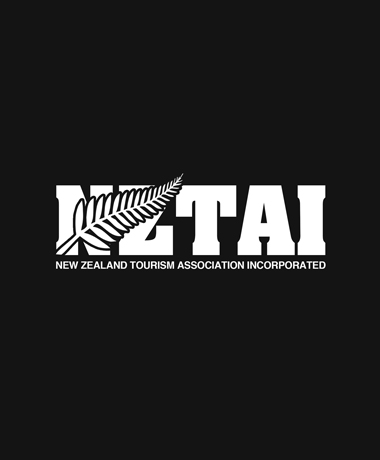 Logo 设计 - NZTAI