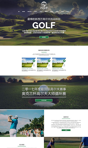 Golf 球场和比赛服务类 - Ai Golf